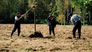 Dramatisoitu kohtaus pehtoorista ja työväestä Håkansbölen pellolla nostamassa heinää seipäille.